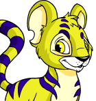 Kougra